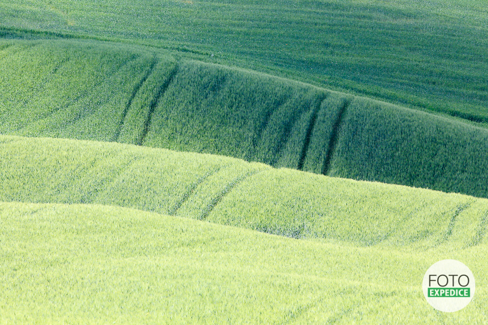 FOTOEXPEDICE TOSKÁNSKO KVĚTEN 2013