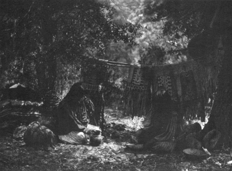 The North American Indian Autor: Edward S. Curtis