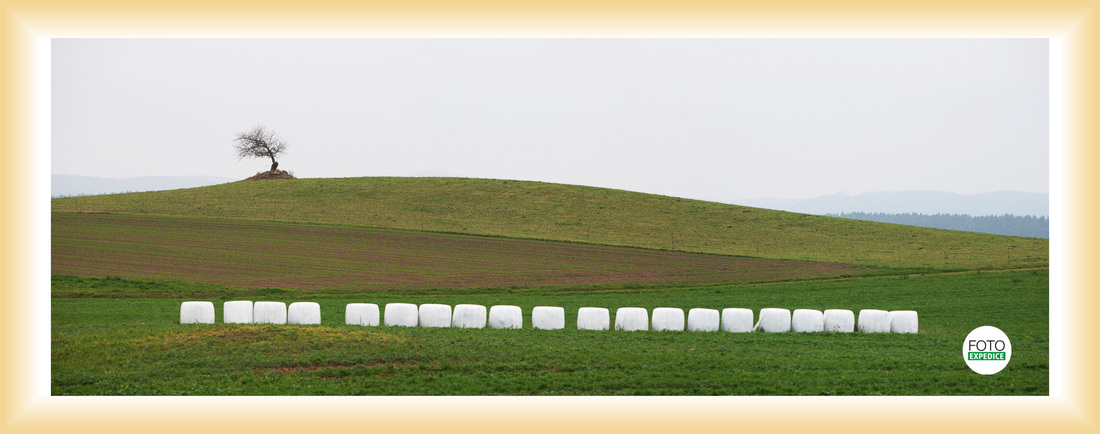 Fotoexpedice setkání k vítání jara 2015